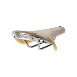 Selles Brooks Cambium C19